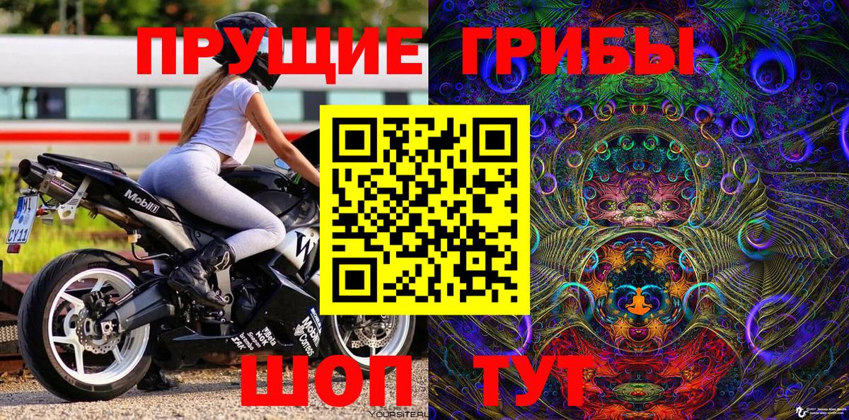 Галлюциногенные грибы прущие грибы Ростов Великий