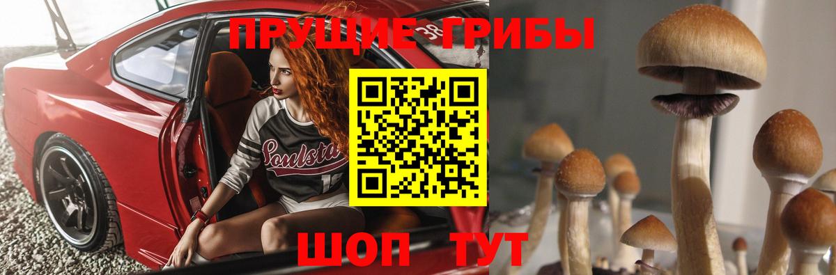 Ростов Великий  Галлюциногенные грибы Psilocybe  купить наркотик  Вход с VPN 